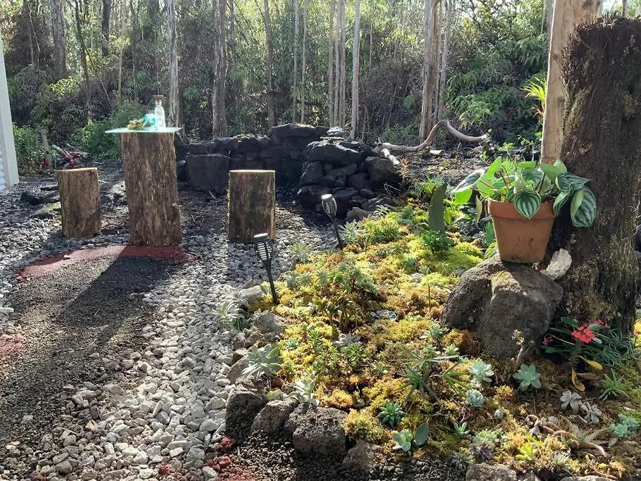 Exotic Garden Cottage At Amazing Volcano Fissure Mountain View