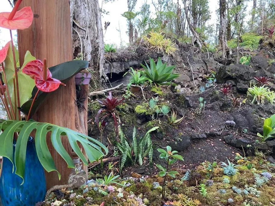Lantställe Exotic Garden Cottage At Amazing Volcano Fissure Mountain View USA
