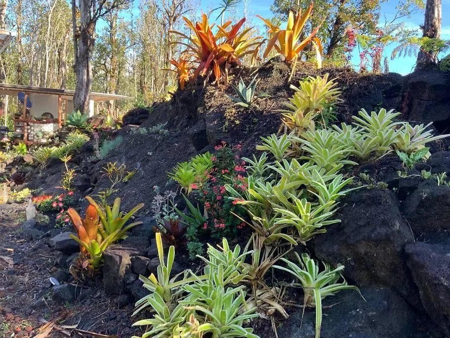 Lantställe Exotic Garden Cottage At Amazing Volcano Fissure Mountain View