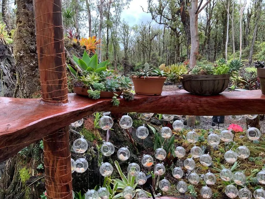 Landhuis Exotic Garden Cottage At Amazing Volcano Fissure Mountain View Verenigde Staten