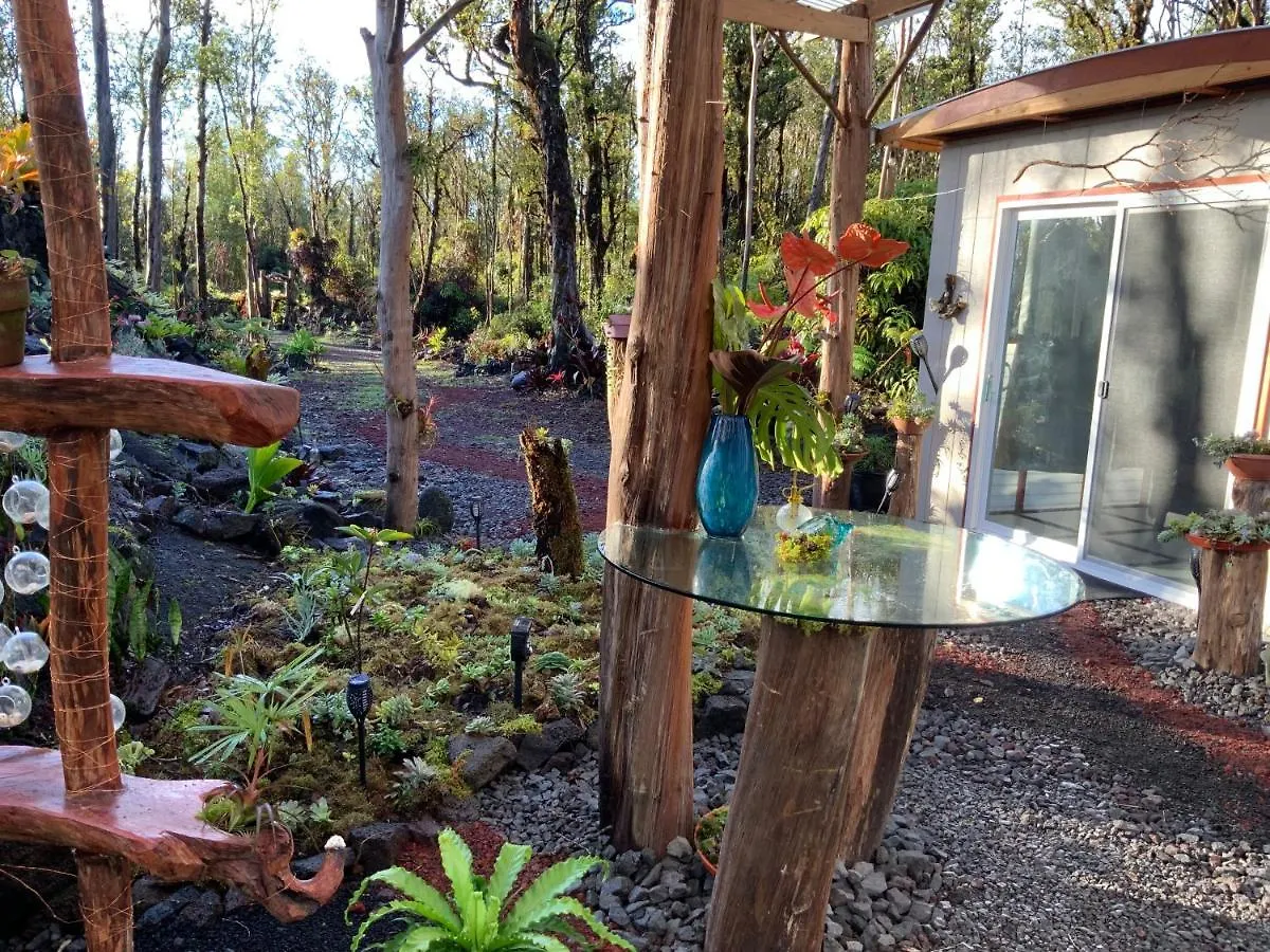 乡村民宿 Exotic Garden Cottage At Amazing Volcano Fissure 芒廷维尤 美国