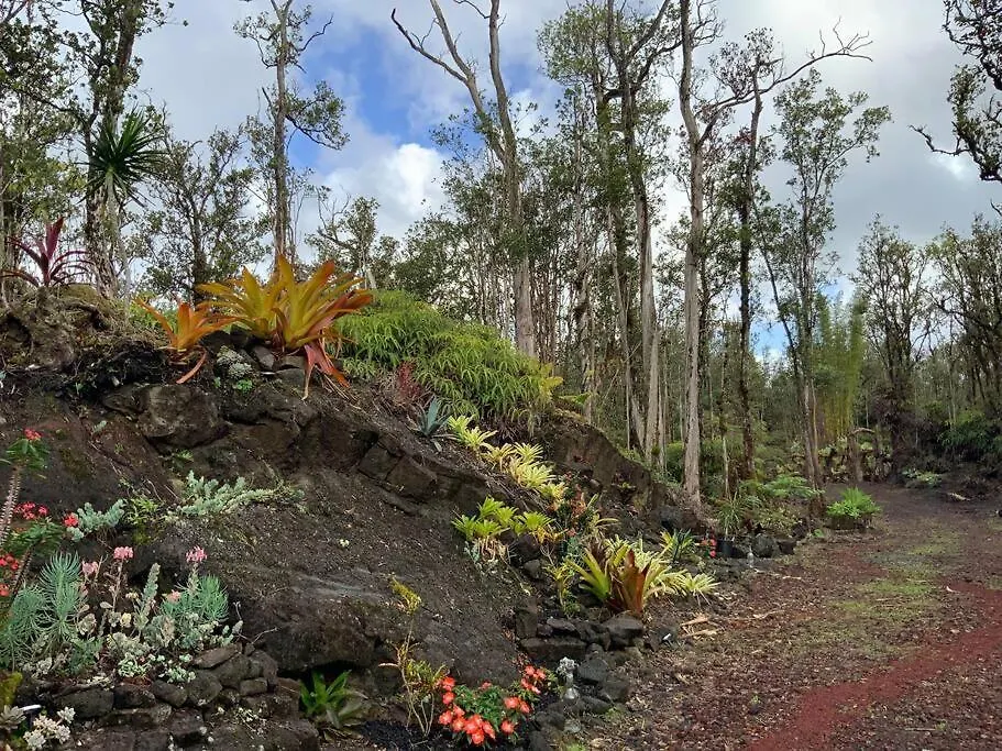 Exotic Garden Cottage At Amazing Volcano Fissure Mountain View 0*,