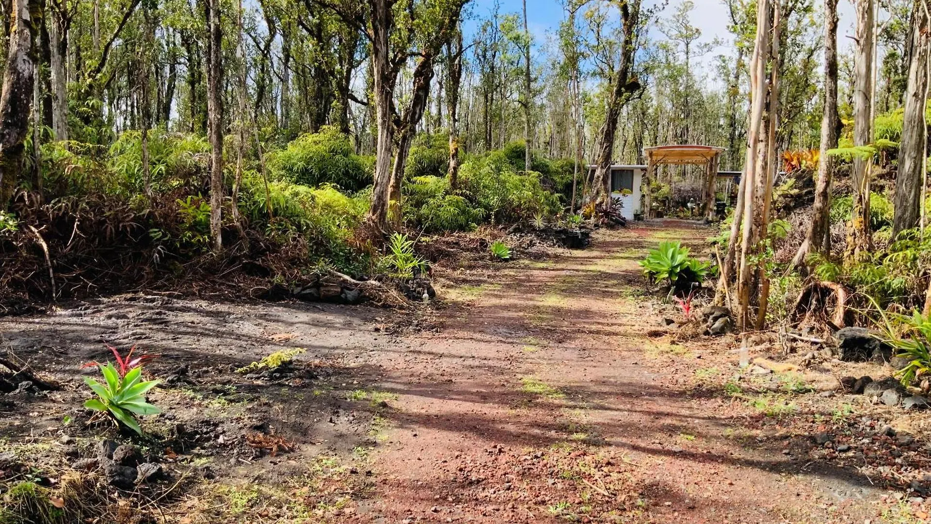Exotic Garden Cottage At Amazing Volcano Fissure Mountain View Verenigde Staten