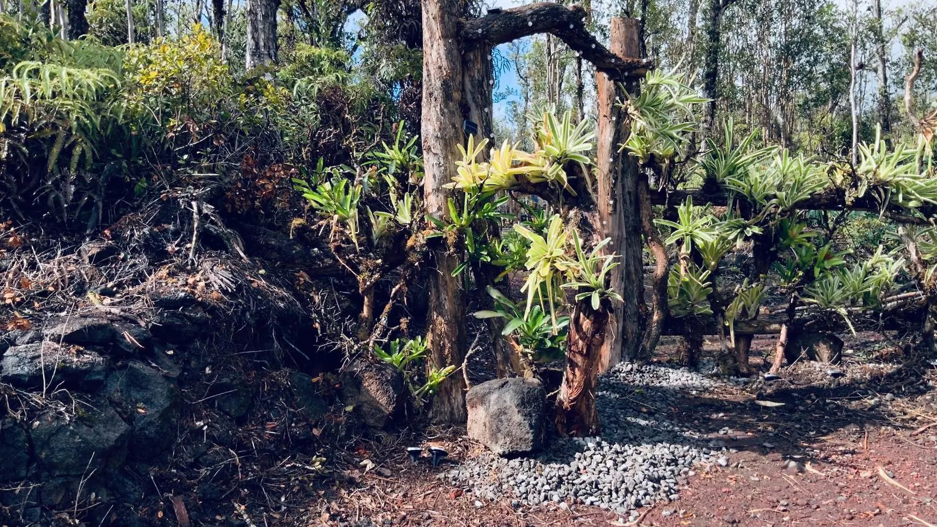 Exotic Garden Cottage At Amazing Volcano Fissure Mountain View 0*,  Verenigde Staten