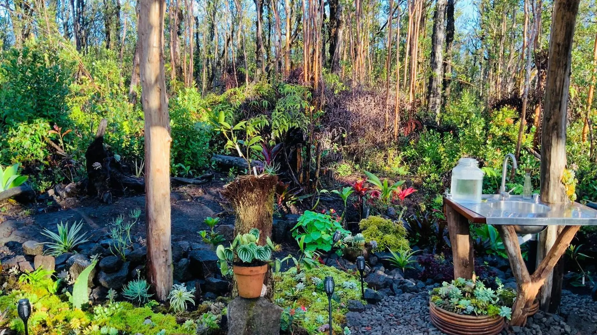 Exotic Garden Cottage At Amazing Volcano Fissure 芒廷维尤