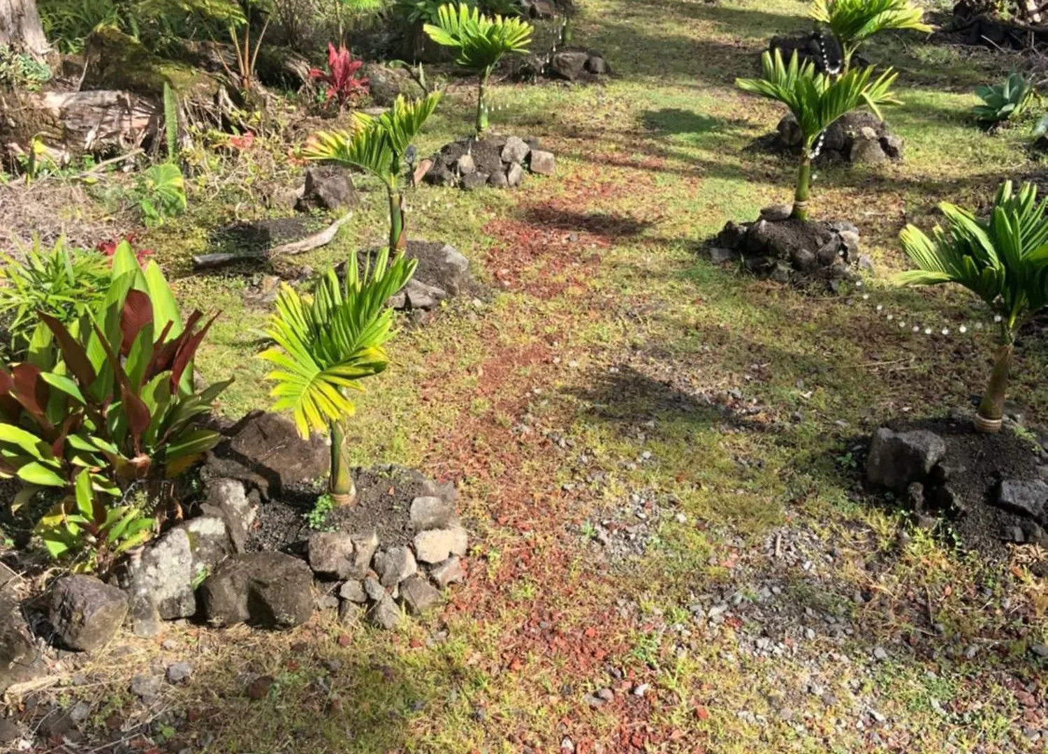 Exotic Garden Cottage At Amazing Volcano Fissure Mountain View Landhuis