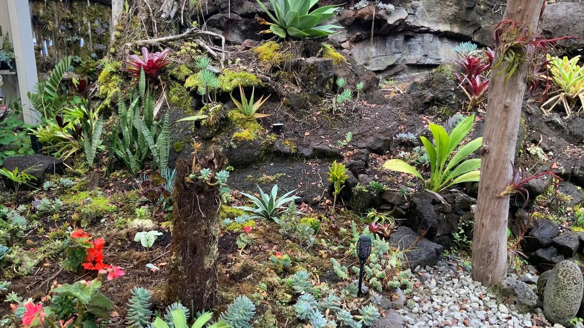Exotic Garden Cottage At Amazing Volcano Fissure Mountain View Landhuis