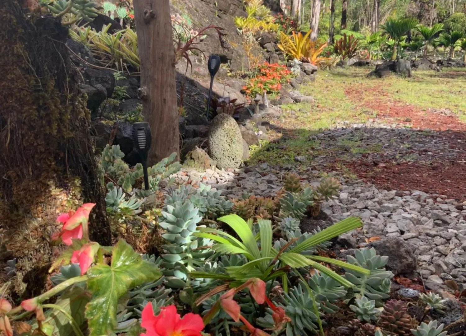 Exotic Garden Cottage At Amazing Volcano Fissure Mountain View Verenigde Staten