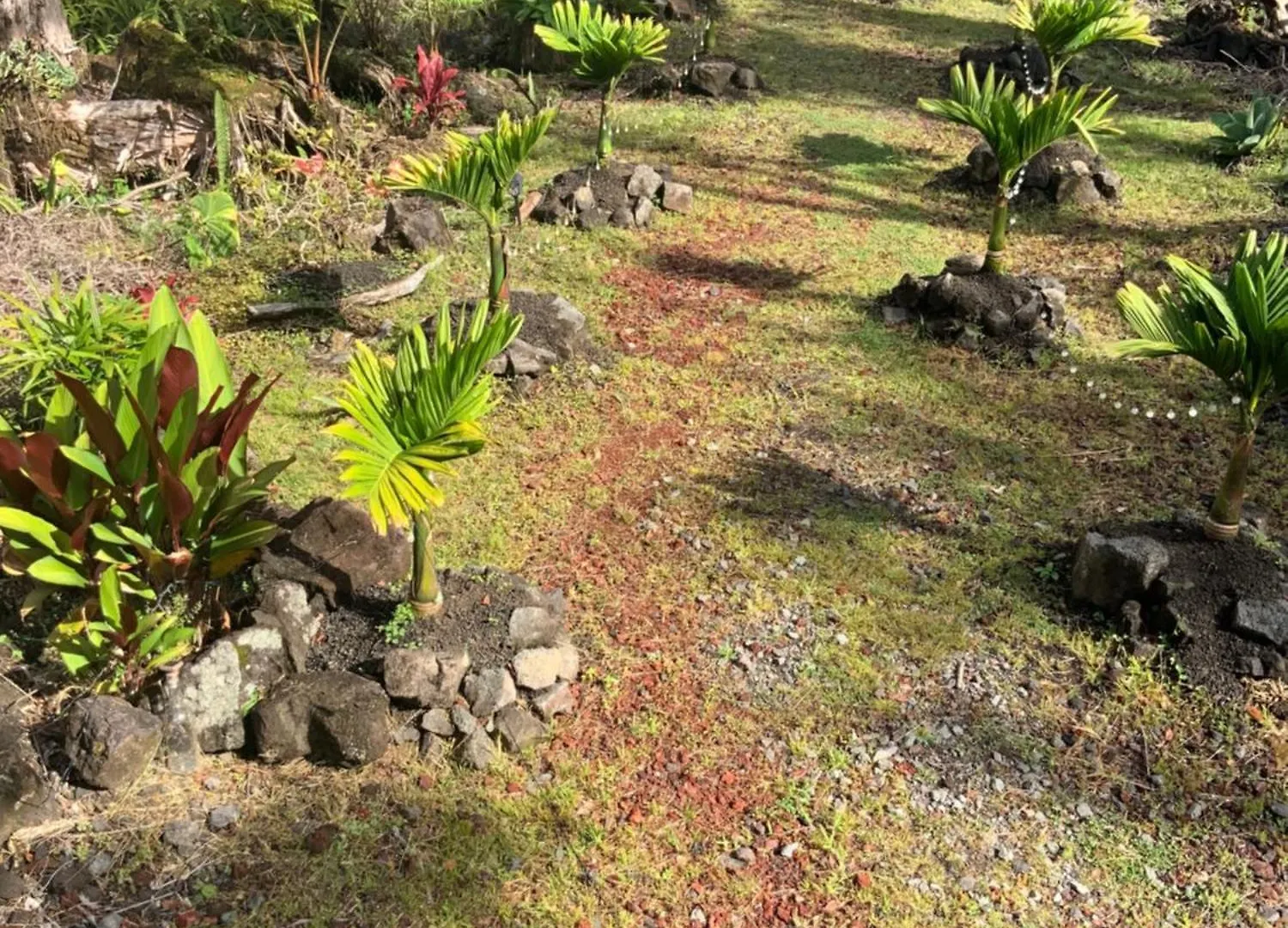 Landhuis Exotic Garden Cottage At Amazing Volcano Fissure Mountain View Verenigde Staten
