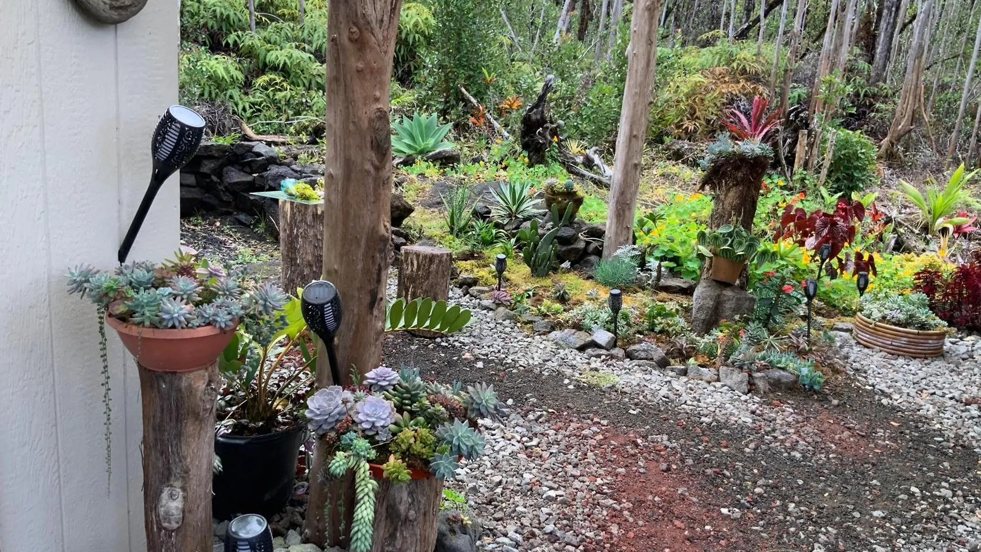 Exotic Garden Cottage At Amazing Volcano Fissure Mountain View Verenigde Staten