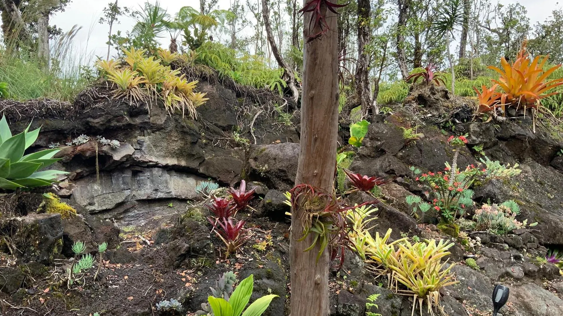 Landhuis Exotic Garden Cottage At Amazing Volcano Fissure Mountain View
