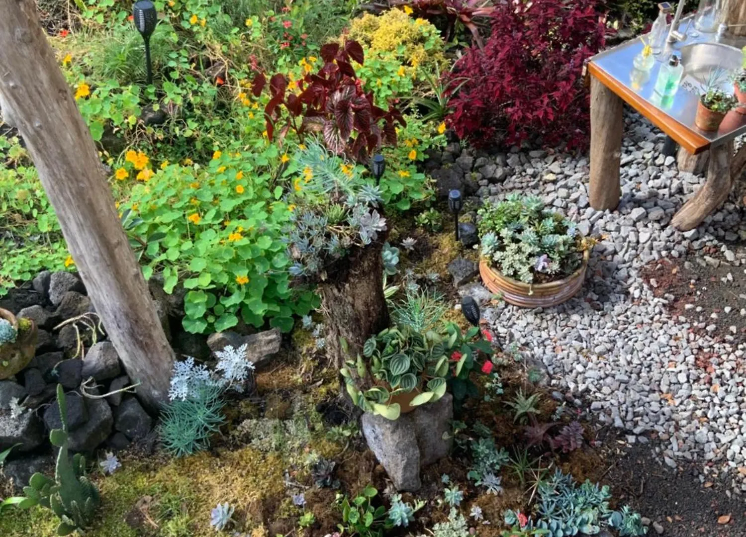 Exotic Garden Cottage At Amazing Volcano Fissure 芒廷维尤 0*,  美国