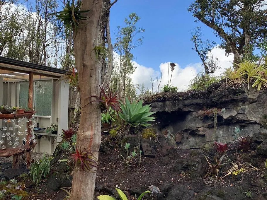 Exotic Garden Cottage At Amazing Volcano Fissure 芒廷维尤 0*,  美国