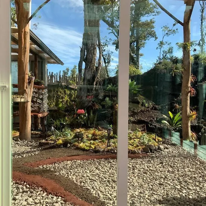 Exotic Garden Cottage At Amazing Volcano Fissure Mountain View Verenigde Staten