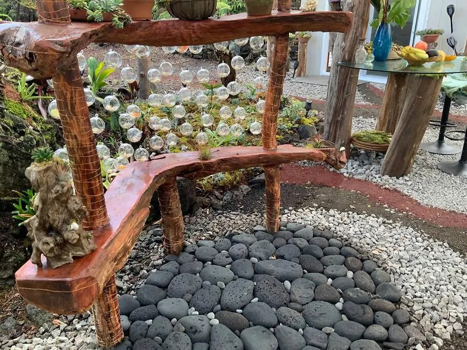 乡村民宿 Exotic Garden Cottage At Amazing Volcano Fissure 芒廷维尤 美国