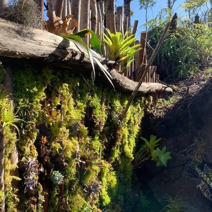 Exotic Garden Cottage At Amazing Volcano Fissure Mountain View