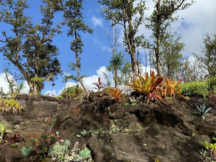 Exotic Garden Cottage At Amazing Volcano Fissure Mountain View 0*,  Verenigde Staten