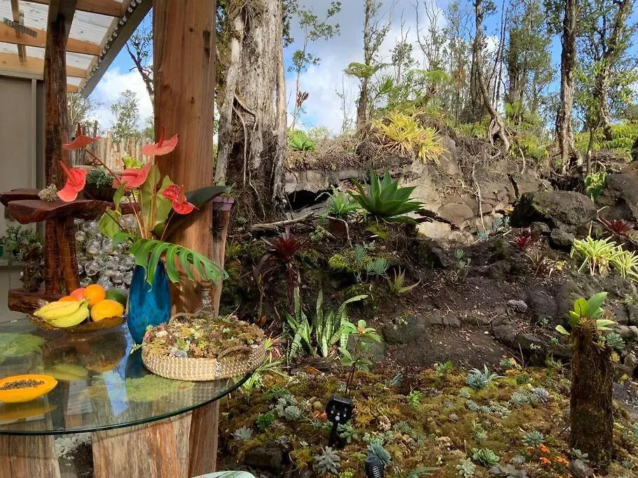Exotic Garden Cottage At Amazing Volcano Fissure 芒廷维尤