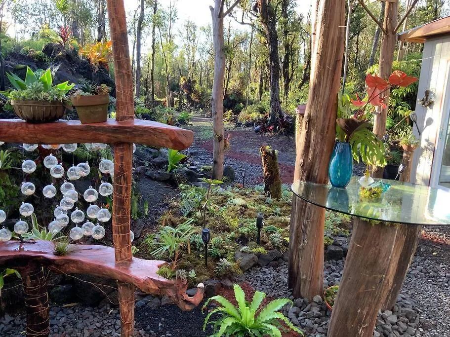 Exotic Garden Cottage At Amazing Volcano Fissure 芒廷维尤 美国
